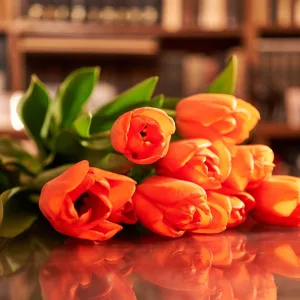 Tulipanes naranjas