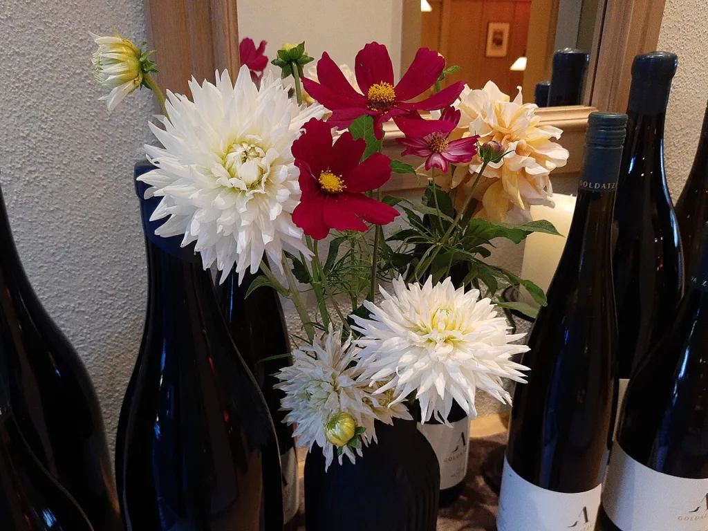 Dalias y cosmos en un jarrón