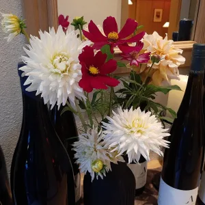 Dalias y cosmos en un jarrón