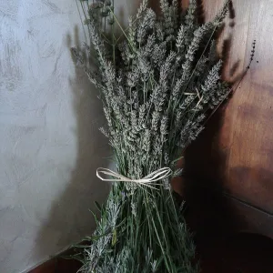 Ramo de lavanda atado